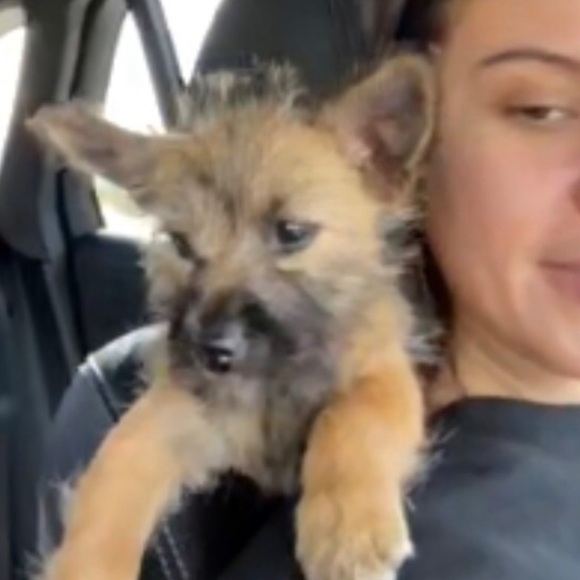 Meet your Posher, Elizabeth - Picture 13 of 16